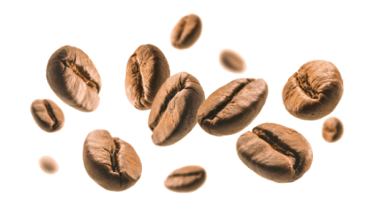 graos de café