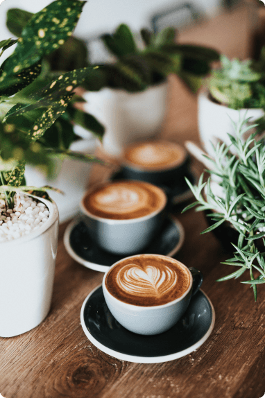 Cafés e Plantas